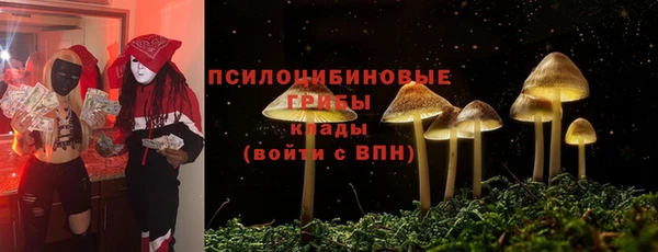 твердый Балахна