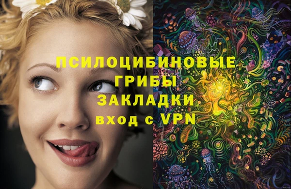 гидра Балабаново