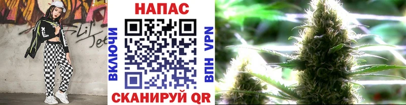 Бошки марихуана Amnesia Рудня